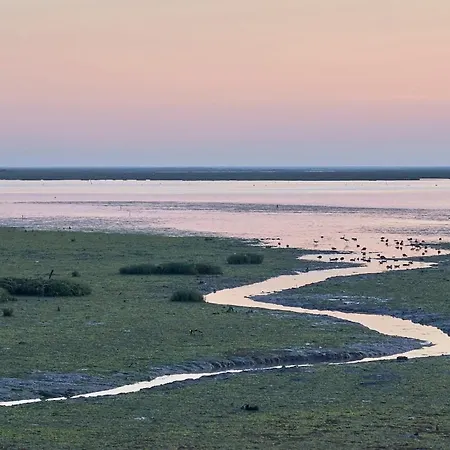 Marina Village Oceanside W Pool